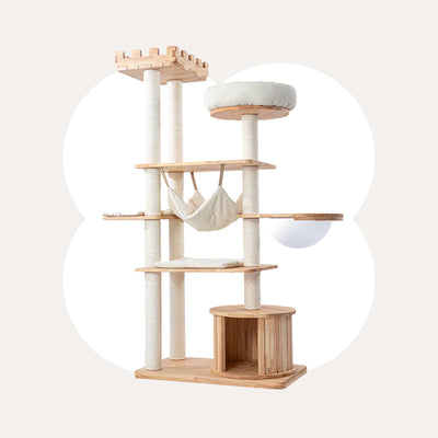 Oyal Crown Cat Tree