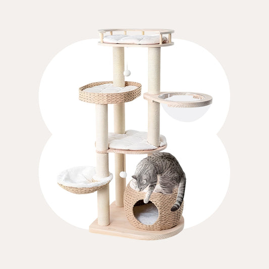 Whispering Hollow Cat Tree