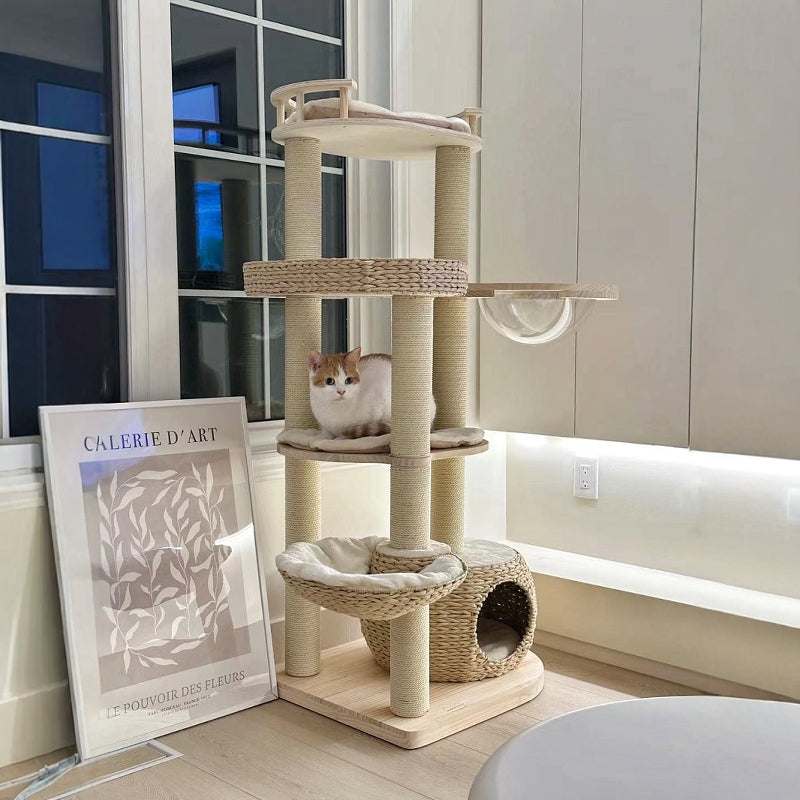 Whispering Hollow Cat Tree